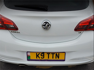 Katie Morris with the number plate K9 TTN