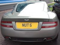 NUT 5
